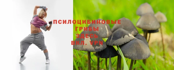 apvp Армянск