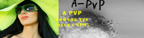 хмурый Михайловск