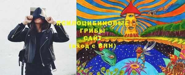 хмурый Корсаков
